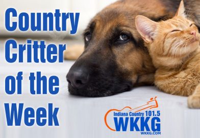 Country Critter of the Week